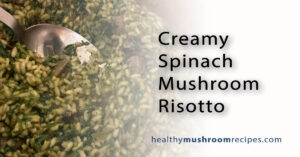 Creamy Mushroom Risotto