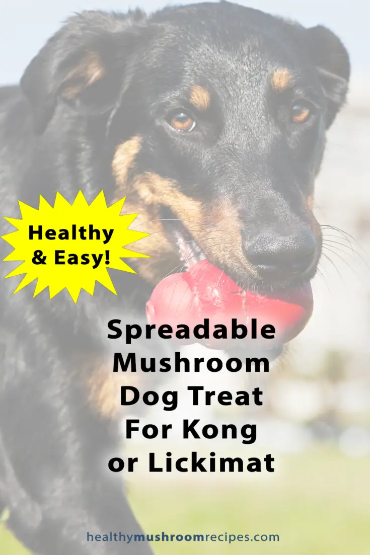 Mushroom Spreadable Treat/Kong Stuffing Recipe For Dogs