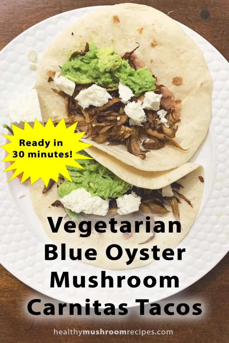 Blue Oyster Mushroom Carnitas Tacos