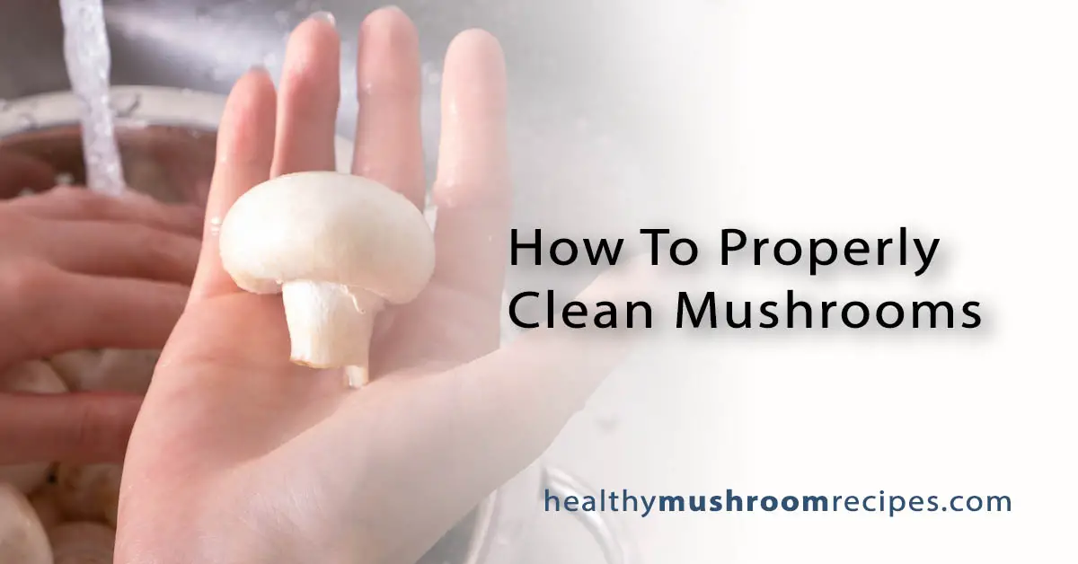 How To Properly Clean Mushrooms