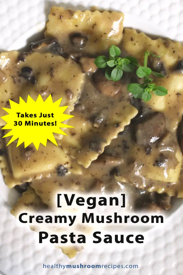 Creamy Mushroom Pasta Sauce 